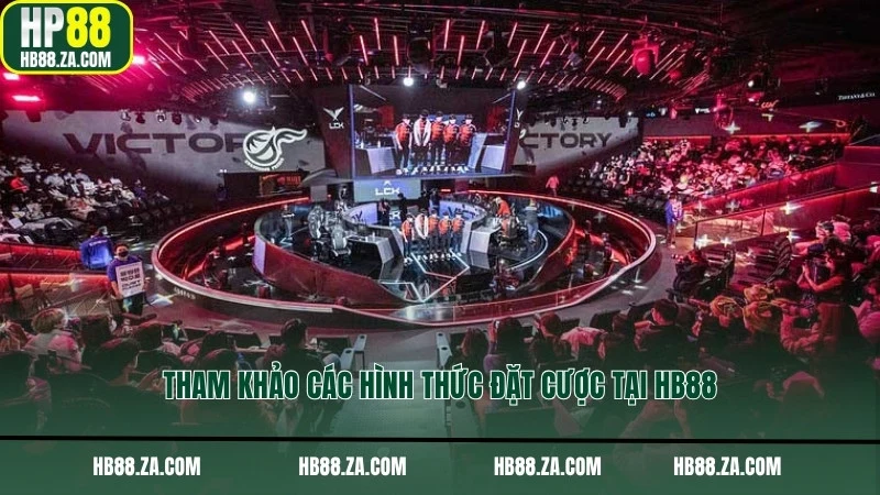 Tham khảo các hình thức đặt cược tại HB88