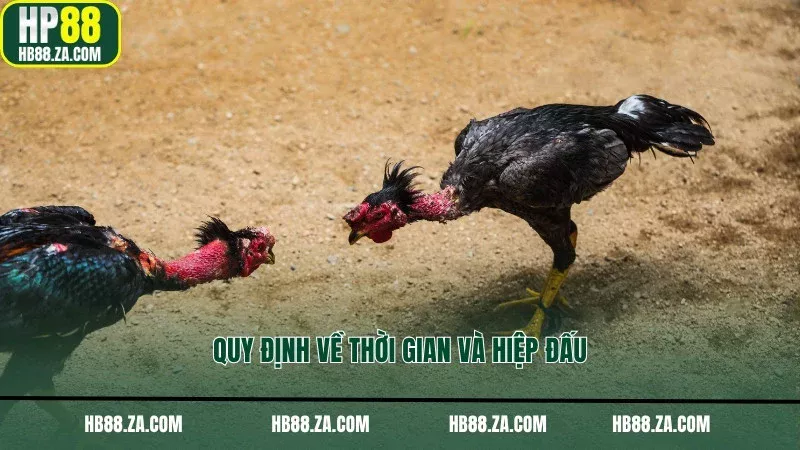 Quy định về thời gian và hiệp đấu