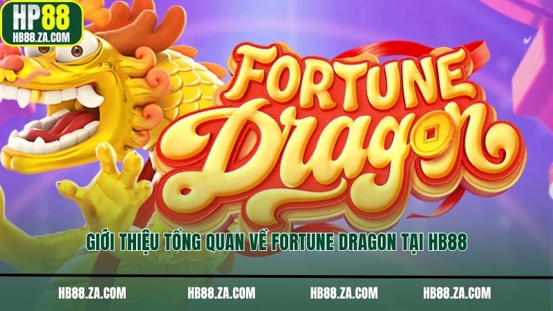 Giới thiệu tổng quan về Fortune Dragon tại HB88