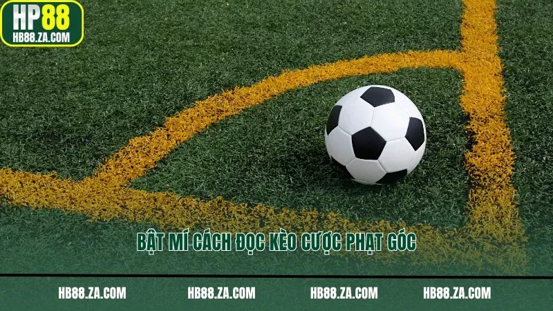 Bật mí cách đọc kèo cược phạt góc