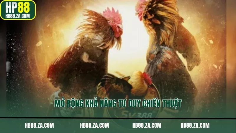 Mở rộng khả năng tư duy chiến thuật