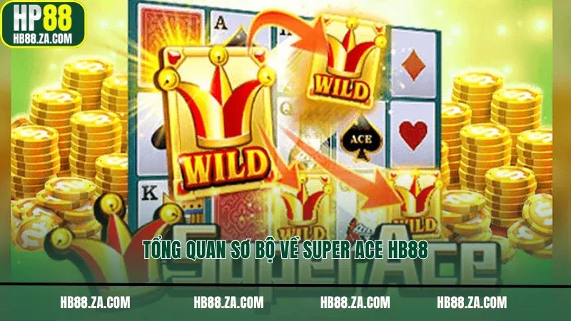 Tổng quan sơ bộ về Super ACE HB88