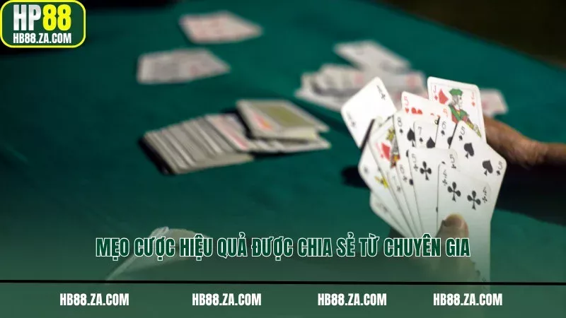 Mẹo cược hiệu quả được chia sẻ từ chuyên gia