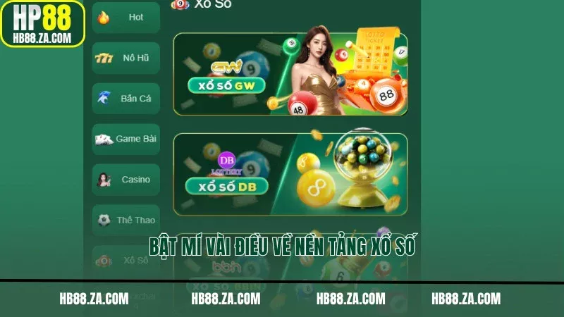 Bật mí vài điều về nền tảng xổ số